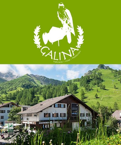 Hotel Falknerei Galina ***S (Liechtenstein)