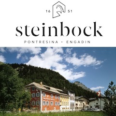Hotel Steinbock *** Pontresina