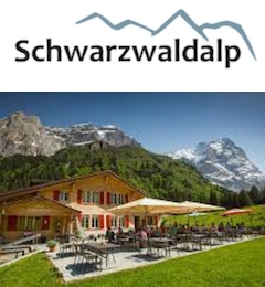 Chalet-Hotel Schwarzwaldalp (Jungfrau Region)