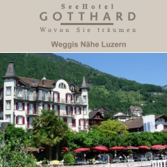 SeeHotel Restaurant Gotthard (Nähe Luzern)