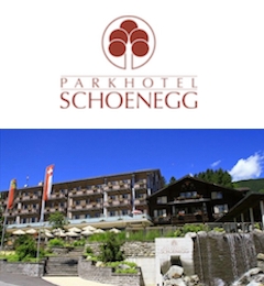 Parkhotel Schoenegg ***S Grindelwald