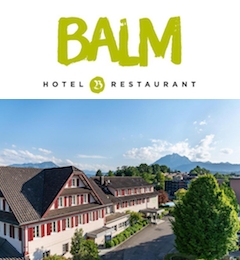 Hotel Balm *** Nähe Luzern